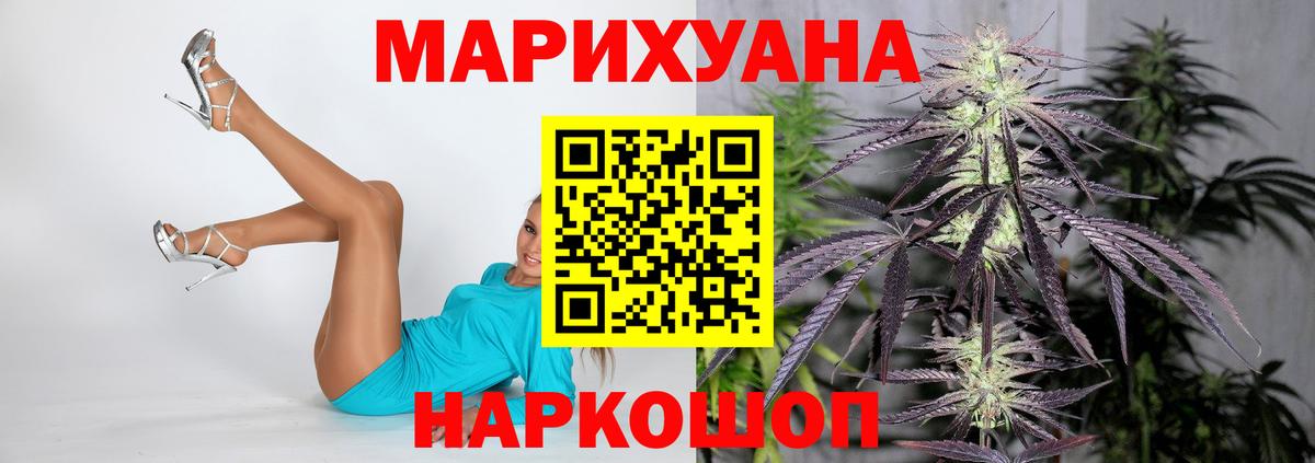 Конопля гибрид Прокопьевск